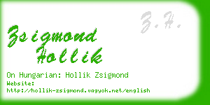 zsigmond hollik business card